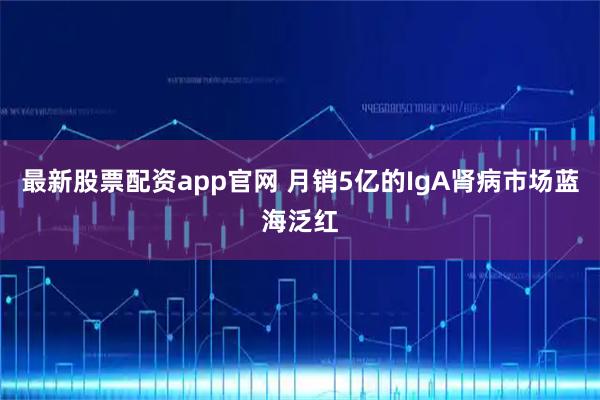 最新股票配资app官网 月销5亿的IgA肾病市场蓝海泛红
