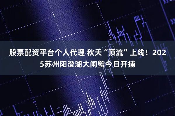 股票配资平台个人代理 秋天“顶流”上线！2025苏州阳澄湖大闸蟹今日开捕