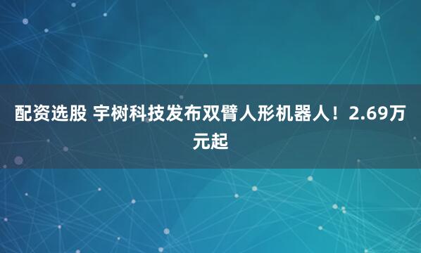 配资选股 宇树科技发布双臂人形机器人！2.69万元起